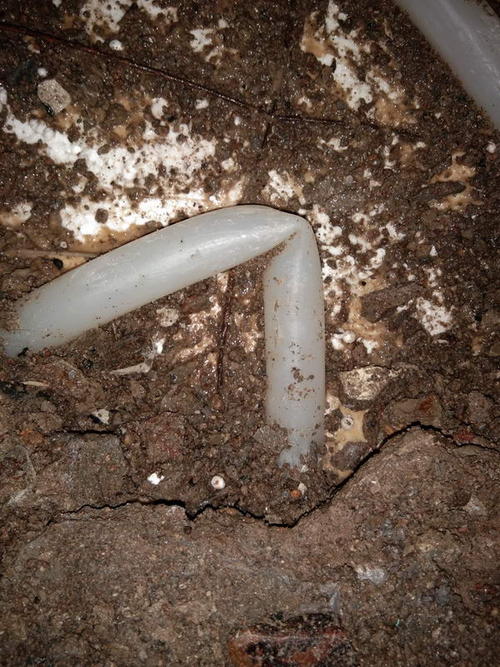 黄陵堵点精准查找